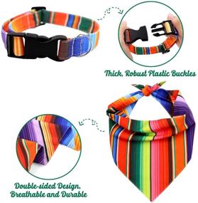 img 2 attached to 🐶 Colorful 3PCS Fiesta Cinco de Mayo UNO Dog Collar Bandana Leash Set: Perfect for Small/Medium Pets, Outdoor Activities & Training. Ideal Serape Mexican Dog Gift!