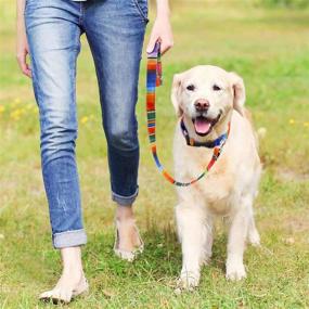 img 3 attached to 🐶 Colorful 3PCS Fiesta Cinco de Mayo UNO Dog Collar Bandana Leash Set: Perfect for Small/Medium Pets, Outdoor Activities & Training. Ideal Serape Mexican Dog Gift!