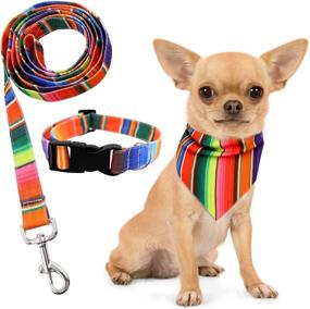 img 4 attached to 🐶 Colorful 3PCS Fiesta Cinco de Mayo UNO Dog Collar Bandana Leash Set: Perfect for Small/Medium Pets, Outdoor Activities & Training. Ideal Serape Mexican Dog Gift!