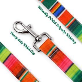 img 1 attached to 🐶 Colorful 3PCS Fiesta Cinco de Mayo UNO Dog Collar Bandana Leash Set: Perfect for Small/Medium Pets, Outdoor Activities & Training. Ideal Serape Mexican Dog Gift!