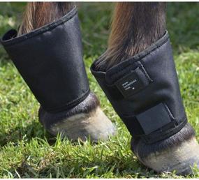 img 3 attached to 🛡️ Coronet Fetlock Shield by Intrepid International