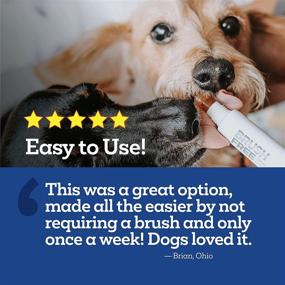 img 1 attached to Vetality Brush Free Oral Gel for Dogs: ProLong Dental Care with Teeth and Gum Cleaning Formula