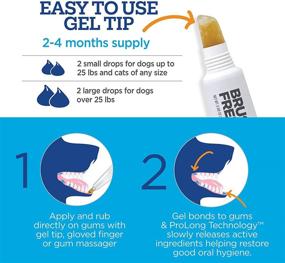 img 3 attached to Vetality Brush Free Oral Gel for Dogs: ProLong Dental Care with Teeth and Gum Cleaning Formula