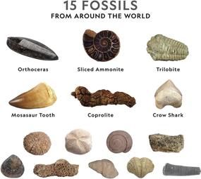 img 2 attached to 🦖 National Geographic Mega Fossil Mine: Unearthing Rare Fossils