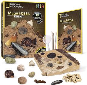 img 4 attached to 🦖 National Geographic Mega Fossil Mine: Unearthing Rare Fossils