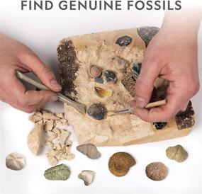 img 3 attached to 🦖 National Geographic Mega Fossil Mine: Unearthing Rare Fossils