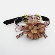 petfavorites kitten puppy collar accessories logo