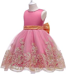 img 2 attached to 👗 Embroidered Beaded V Neck Birthday Party Pageant Flower Girl Dress for Girls Aged 4-10 Years