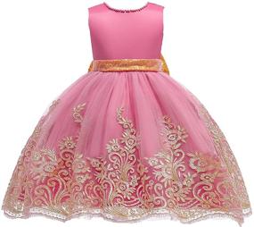 img 4 attached to 👗 Embroidered Beaded V Neck Birthday Party Pageant Flower Girl Dress for Girls Aged 4-10 Years