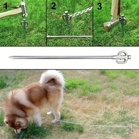 img 2 attached to 🐾 Heavy-Duty Dog Tie Out Stake for Large and Small Breeds - Tangle Free, 360° Swivel for Yard, Camping, and Outdoor Activities