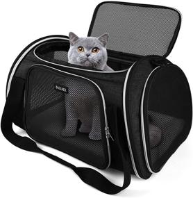 img 4 attached to 🐾 Premium BAGLHER Airline Approved Pet Travel Carrier - Ideal for Small & Medium-Sized Cats and Dogs - Perfect for Travel, Hiking, & Outdoor Activities in Black