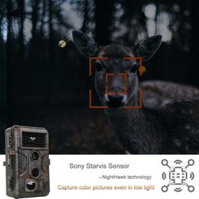 img 3 attached to 📷 2-Pack No Glow Game & Deer Trail Cameras - 24MP 1296P H.264 Video, 100ft Night Vision, Motion Activated, 0.1S Trigger Speed, Waterproof - Ideal for Home Surveillance, Outdoor Wildlife Hunting, Farm & Yard Monitoring