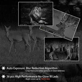 img 2 attached to 📷 2-Pack No Glow Game & Deer Trail Cameras - 24MP 1296P H.264 Video, 100ft Night Vision, Motion Activated, 0.1S Trigger Speed, Waterproof - Ideal for Home Surveillance, Outdoor Wildlife Hunting, Farm & Yard Monitoring