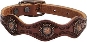 img 1 attached to 🐾 Enhance your Pet's Style with the Weaver Pet Sundance Collar