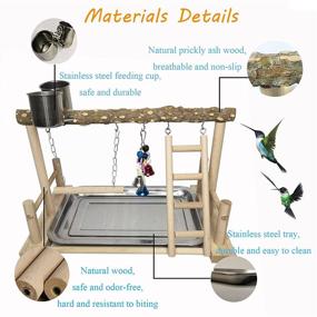 img 2 attached to Bird Playground Set: PINVNBY Parrot Playstand with Feeder Cups, Swing Toys, and More - Perfect Cage Accessories for Parakeet, Conure, Cockatiel, Budgie!