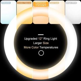 img 2 attached to UBeesize Recording and Live Streaming - Instagram Compatible