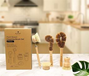 img 3 attached to Ecozoi 5 Piece Bamboo Dish Brush Set: Sustainable 🌿 Kitchen Brushes for Eco-Friendly Cleaning of Vegetables, Dishes, Pots, Pans