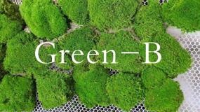 img 3 attached to Real Green Decorative Cushion Moss for Pillows, Bun Moss, and Cushions (Green-B, 1.5 sq.ft.)