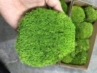 real green decorative cushion moss for pillows, bun moss, and cushions (green-b, 1.5 sq.ft.) logo