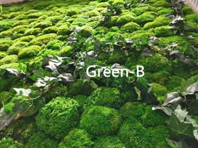 img 2 attached to Real Green Decorative Cushion Moss for Pillows, Bun Moss, and Cushions (Green-B, 1.5 sq.ft.)