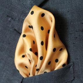 img 2 attached to White Silk Polka Pocket Square