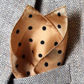 img 1 attached to White Silk Polka Pocket Square