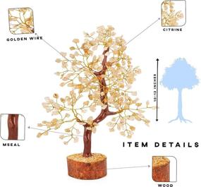 img 1 attached to 🌳 PYOR Citrine Crystal Feng Shui Tree - Citrine Crystals for Positive Energy - Money Tree Décor - Luck Bonsai Money - Spiritual Gift and Healing Stones