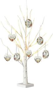 img 4 attached to EAMBRITE 2FT 24LT White Birch Twig Tree Lights- Perfect Tabletop Gift for Mother's Day- Home Decoration with Warm White LED Lamp