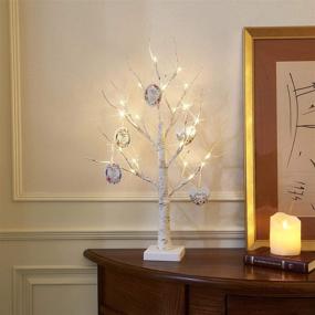 img 3 attached to EAMBRITE 2FT 24LT White Birch Twig Tree Lights- Perfect Tabletop Gift for Mother's Day- Home Decoration with Warm White LED Lamp