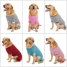 img 2 attached to 🐶 LEVIBASIC Cotton Striped Dog Pajamas - Breathable 4 Legs Basic Pjs Shirt for Puppy and Cat, Super Soft Stretchable Puppy Jammies, Fashion & Comfy for Boys and Girls