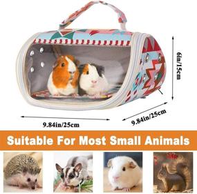 img 3 attached to 🐹 ASOCEA Hamster Carrier Bag: Portable Travel Solution for Guinea Pigs, Hedgehogs, Birds & More!