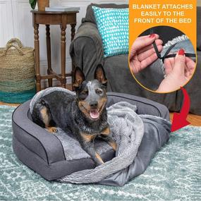 img 2 attached to 🐾 Premium SportPet Designs Sofa Lounge Pet Bed with Washable Cover, Reversible Blanket, Water-Resistant Liner, and Top Memory Foam