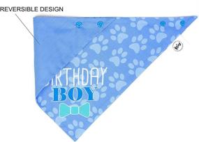 img 2 attached to Pooch Perfect Birthday Bandana Dapper