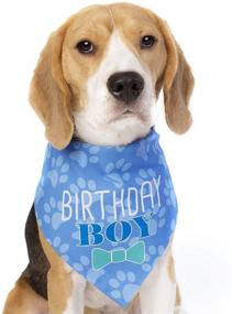 img 4 attached to Pooch Perfect Birthday Bandana Dapper