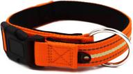 high visibility reflective dog collar leashes set, durable bungee dog leash with car seat belt, pet collar including additional loop for dog tags, ideal for large and medium dog training and walking (orange) logo