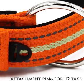 img 3 attached to High Visibility Reflective Dog Collar Leashes Set, Durable Bungee Dog Leash with Car Seat Belt, Pet Collar including Additional Loop for Dog Tags, Ideal for Large and Medium Dog Training and Walking (Orange)