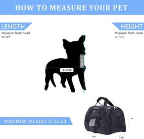 img 3 attached to 🐾 PPOGOO Small Pet Carriers: Airline Approved Travel Carrier for Cats and Dogs, Black - 17x7.5x11