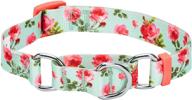 🐶 versatile and chic: blueberry pet 7 patterns spring scent inspired rose print safety training martingale dog collars with personalization logo