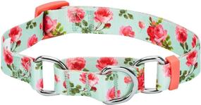 img 4 attached to 🐶 Versatile and Chic: Blueberry Pet 7 Patterns Spring Scent Inspired Rose Print Safety Training Martingale Dog Collars with Personalization