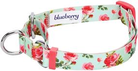 img 2 attached to 🐶 Versatile and Chic: Blueberry Pet 7 Patterns Spring Scent Inspired Rose Print Safety Training Martingale Dog Collars with Personalization