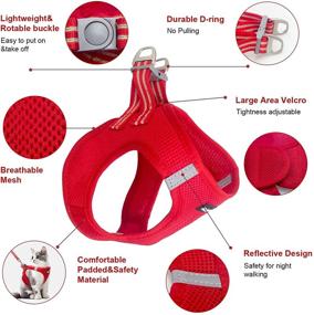 img 2 attached to 🐾 Premium Cat & Dog Harness and Leash Set with Reflective Strap and Durable D-Ring - Ideal for Small Dogs and Kittens