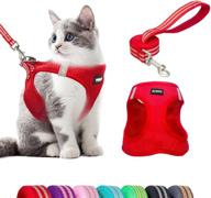 🐾 premium cat & dog harness and leash set with reflective strap and durable d-ring - ideal for small dogs and kittens logo