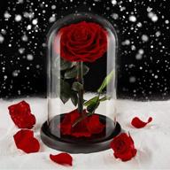 eternal rose in glass dome - large red, ideal gift for her on thanksgiving, christmas, valentine's day, birthday or mother's day logo