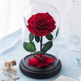 img 3 attached to Eternal Rose in Glass Dome - Large Red, Ideal Gift for Her on Thanksgiving, Christmas, Valentine's Day, Birthday or Mother's Day