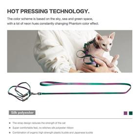 img 2 attached to 🐱 Escape-Proof Cat Harness and Leash Set for Kittens and Small Pets - Adjustable, Secure, and Stylish (Purple-Green Gradient)