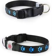 🐶 large blue dog collar - dm merchandising night scout logo