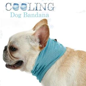 img 3 attached to Vsing Cooling Instant Bandana Breathable