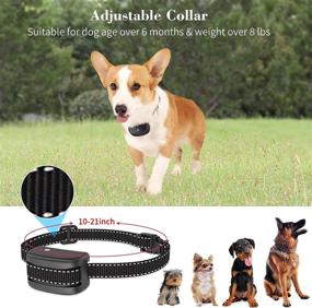 img 1 attached to 🐶 Citronella Spray Dog Bark Collar: Humane Safe Training Collar for Dogs - Rechargeable, Waterproof Anti-Barking Control