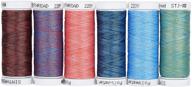 🧵 simthread 6 dual colored variegated embroidery sewing thread - 220 yards - ideal for sewing, piecing, applique, quilting, free hand quilting, and more logo