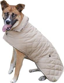 img 2 attached to 🐶 Fashion Pet Reversible Dog Coat - Enhance your pet's style and comfort